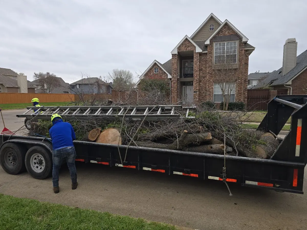 Expert Tree Pest Control with proper safety equipment in Tremont City